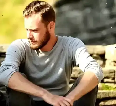 Stream Herplex Nx gestione asset